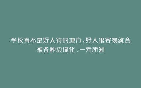 学校真不是好人待的地方，好人很容易就会被各种边缘化，一无所知