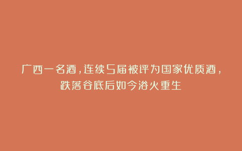 广西一名酒，连续5届被评为国家优质酒，跌落谷底后如今浴火重生