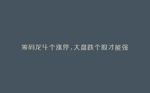 筹码龙4个涨停，大盘跌个股才能强！