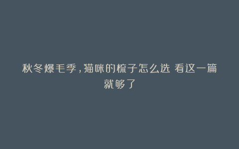 秋冬爆毛季，猫咪的梳子怎么选？看这一篇就够了