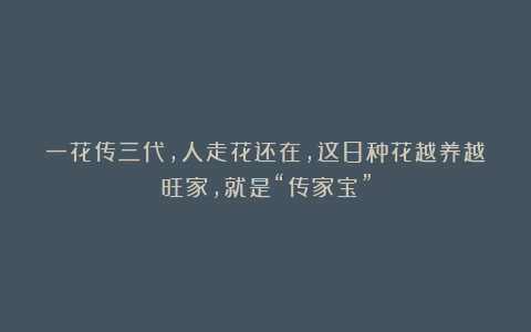 一花传三代，人走花还在，这8种花越养越旺家，就是“传家宝”