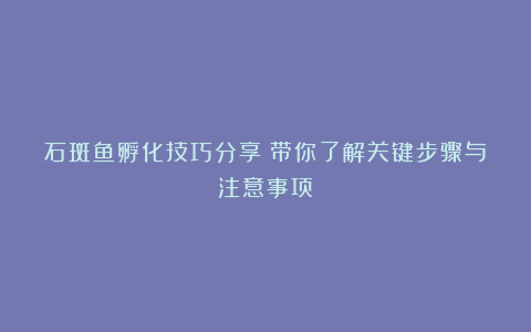 石斑鱼孵化技巧分享！带你了解关键步骤与注意事项