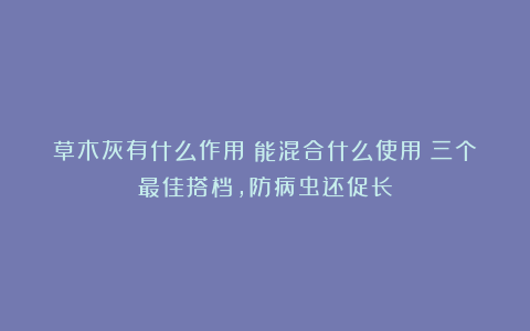 草木灰有什么作用？能混合什么使用？三个最佳搭档，防病虫还促长