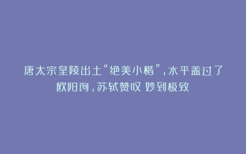 唐太宗皇陵出土“绝美小楷”，水平盖过了欧阳询，苏轼赞叹：妙到极致！