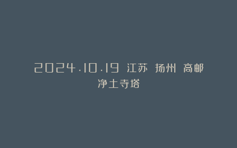 2024.10.19 江苏 扬州 高邮净土寺塔