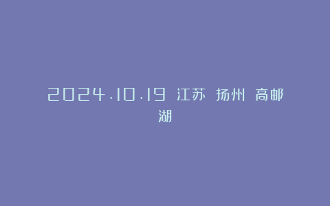 2024.10.19 江苏 扬州 高邮湖