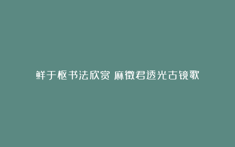 鲜于枢书法欣赏《麻徵君透光古镜歌》