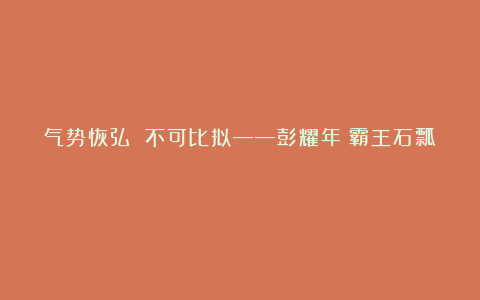 气势恢弘 不可比拟——彭耀年《霸王石瓢》