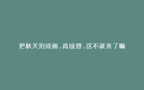 把秋天拍成画，高级感，这不就来了嘛