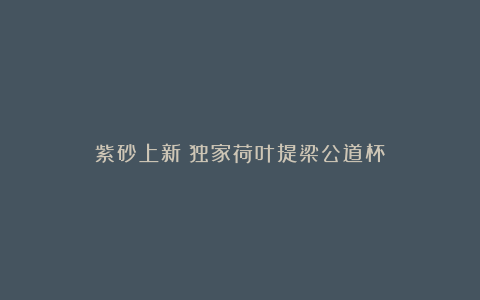 紫砂上新︱独家荷叶提梁公道杯