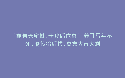 “家有长命树，子孙后代富”，养35年不死，能传给后代，寓意大吉大利