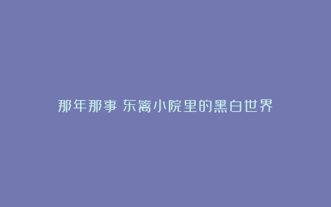 那年那事｜东篱小院里的黑白世界