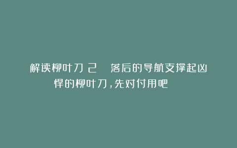 解读柳叶刀（2）： 落后的导航支撑起凶悍的柳叶刀，先对付用吧！☆☆☆☆☆