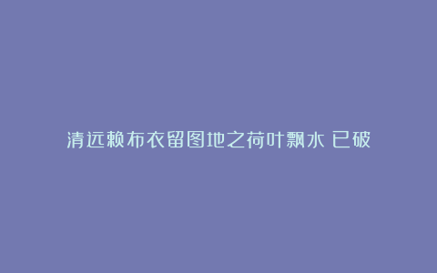 清远赖布衣留图地之荷叶飘水（已破）