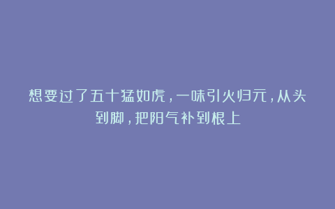 想要过了五十猛如虎，一味引火归元，从头到脚，把阳气补到根上