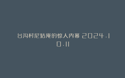 《台沟村尼姑庵的惊人内幕》2024.10.11