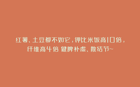 红薯、土豆都不如它，钾比米饭高10倍，纤维高4倍！健脾补虚、散结节~