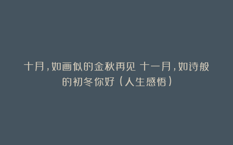 十月，如画似的金秋再见；十一月，如诗般的初冬你好！(人生感悟)