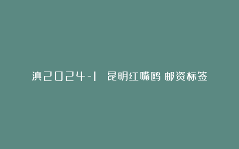 滇2024-1 《昆明红嘴鸥》邮资标签