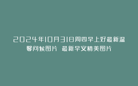 2024年10月31日周四早上好最新温馨问候图片 最新早安精美图片