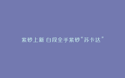 紫砂上新︱白段全手紫砂“苏卡达”