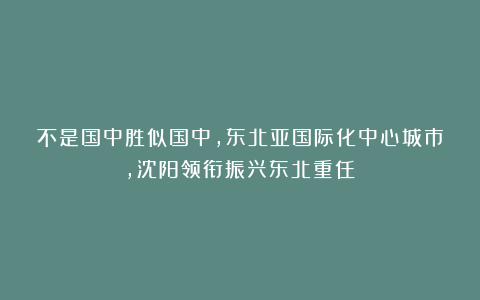 不是国中胜似国中，东北亚国际化中心城市，沈阳领衔振兴东北重任！