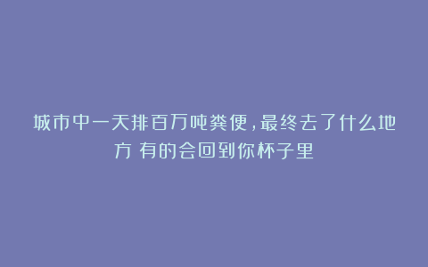 城市中一天排百万吨粪便，最终去了什么地方？有的会回到你杯子里