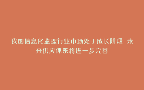 我国信息化监理行业市场处于成长阶段 未来供应体系将进一步完善