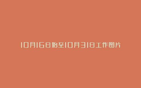 10月16日始至10月31日工作图片