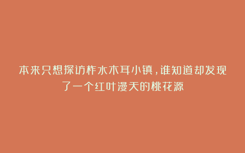 本来只想探访柞水木耳小镇，谁知道却发现了一个红叶漫天的桃花源