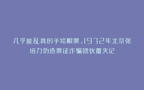 几乎能乱真的手绘粮票，1972年北京张培力伪造票证诈骗团伙覆灭记