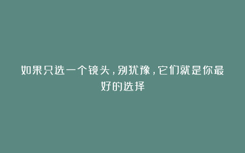 如果只选一个镜头，别犹豫，它们就是你最好的选择