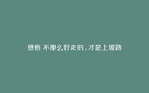 感悟：不那么好走的，才是上坡路