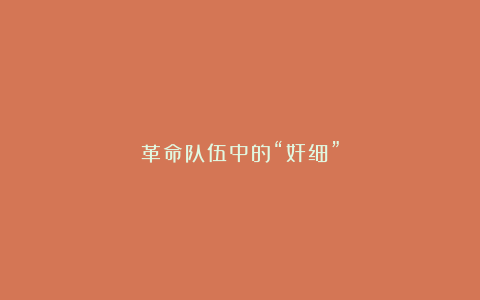 革命队伍中的“奸细”