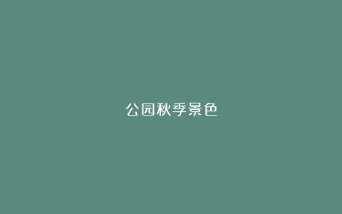 公园秋季景色