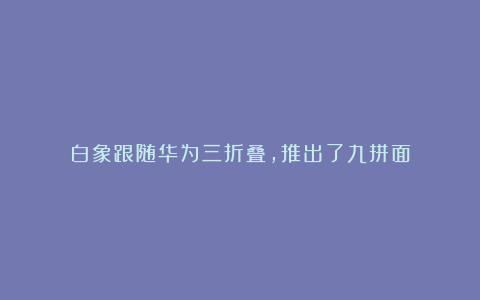 白象跟随华为三折叠，推出了九拼面