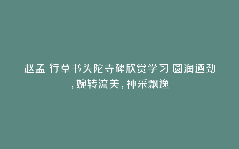 赵孟頫行草书头陀寺碑欣赏学习：圆润遒劲，婉转流美，神采飘逸！