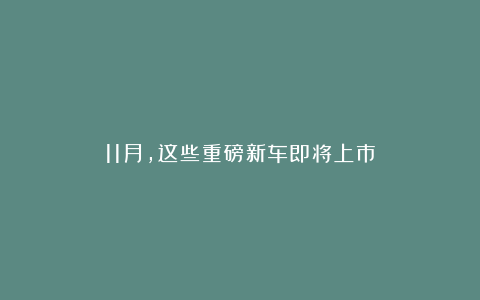 11月，这些重磅新车即将上市