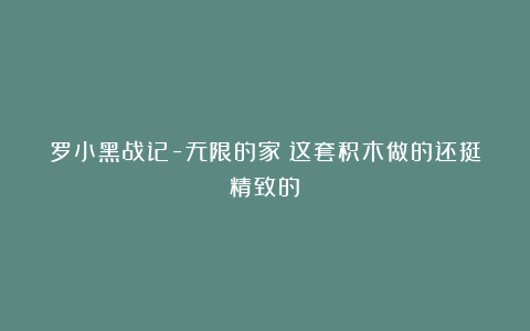 罗小黑战记-无限的家！这套积木做的还挺精致的！