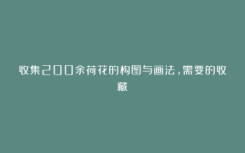 收集200余荷花的构图与画法，需要的收藏！