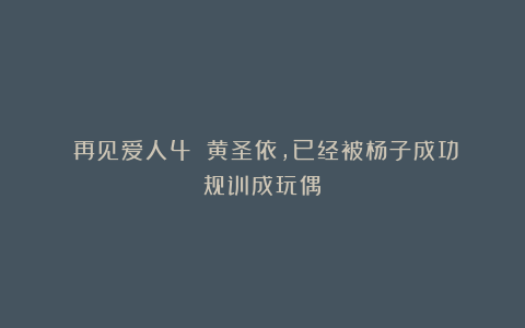 《再见爱人4》：黄圣依，已经被杨子成功规训成玩偶！