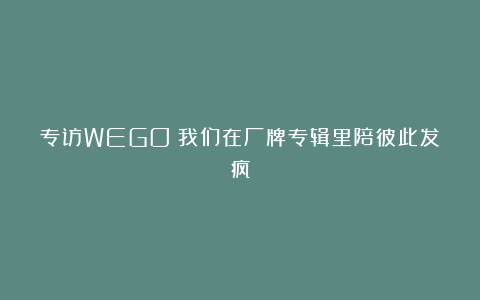 专访WEGO：我们在厂牌专辑里陪彼此发疯