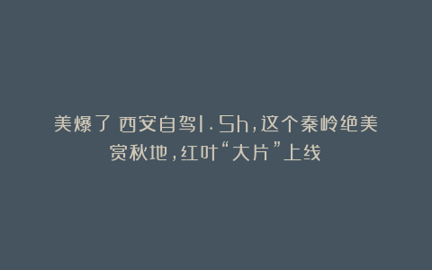 美爆了！西安自驾1.5h，这个秦岭绝美赏秋地，红叶“大片”上线！