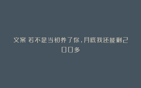 文案|若不是当初养了你，月底我还能剩200多