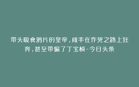 带头吸食鸦片的皇帝，咸丰在作死之路上狂奔，甚至带偏了丁宝桢-今日头条