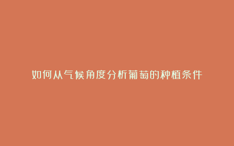 如何从气候角度分析葡萄的种植条件？