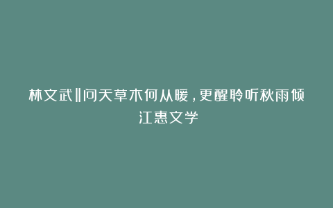 林文武‖问天草木何从暖，更醒聆听秋雨倾（江惠文学）