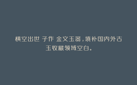 横空出世（子作）金文玉器，填补国内外古玉收藏领域空白。