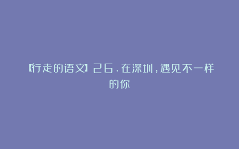 【行走的语文】26.在深圳，遇见不一样的你