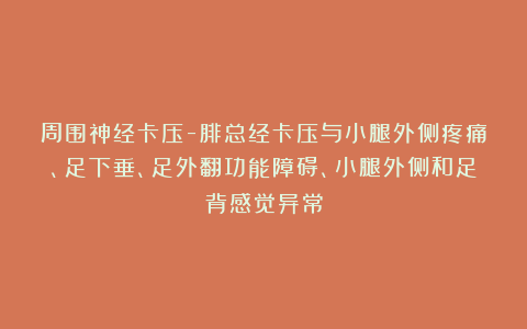 周围神经卡压-腓总经卡压与小腿外侧疼痛、足下垂、足外翻功能障碍、小腿外侧和足背感觉异常